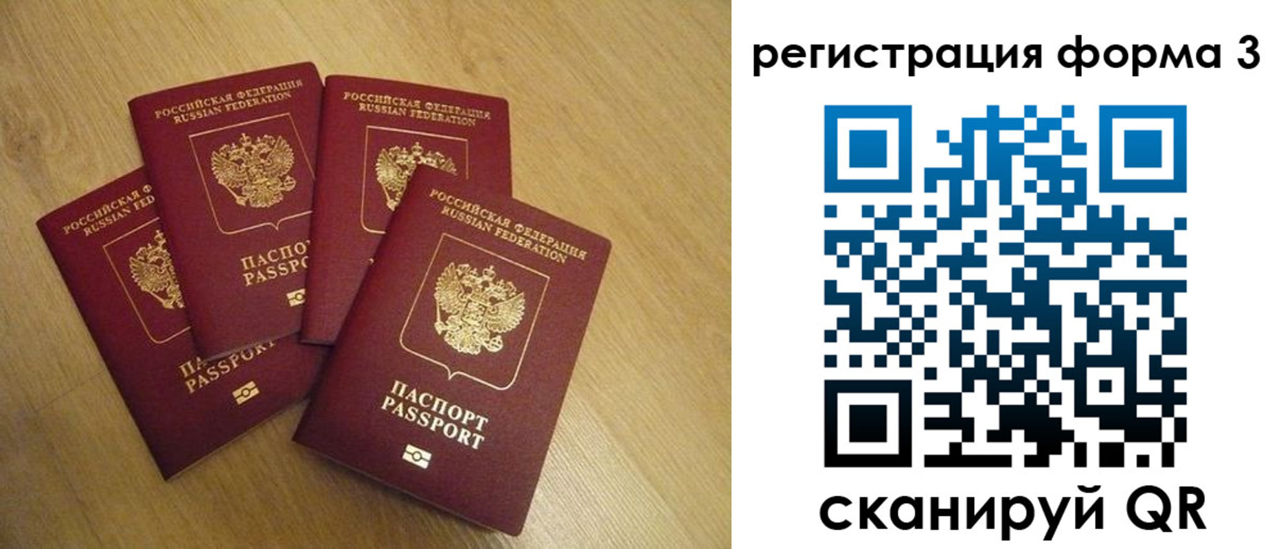прописка для школы в Павловске